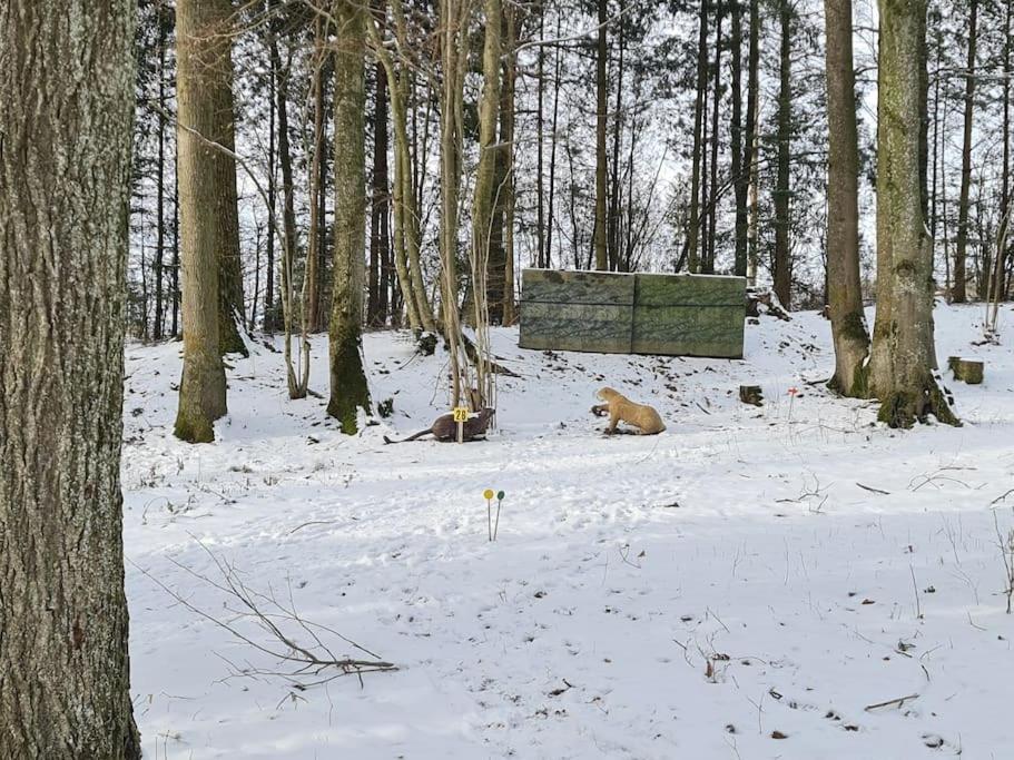 Historischer Gutshof, Bogensportzentrum Kremstal Apartman Nussbach Kültér fotó